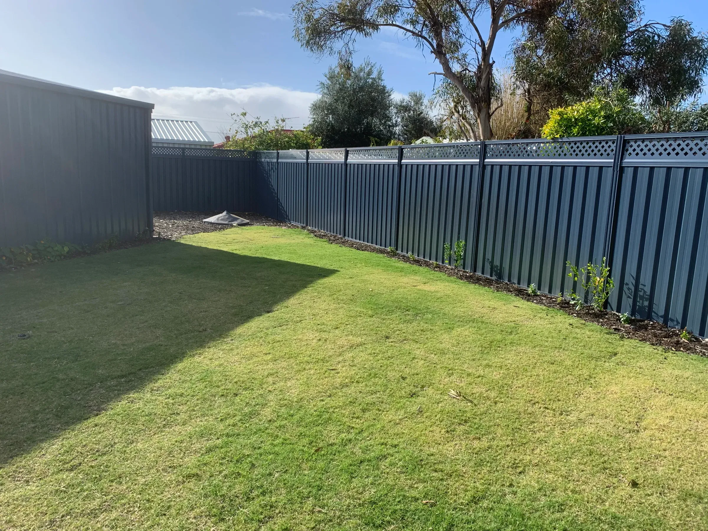 Wide view of a grey Colorbond boundary fence enclosing a established back lawn