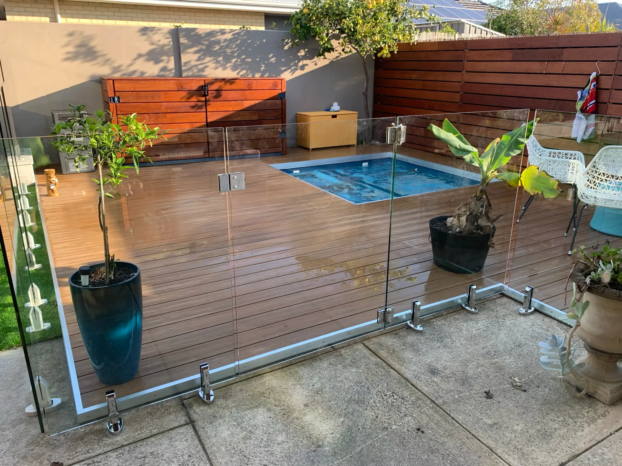 Glass pool fence in a planted courtyard with potted trees and a timber screen behind