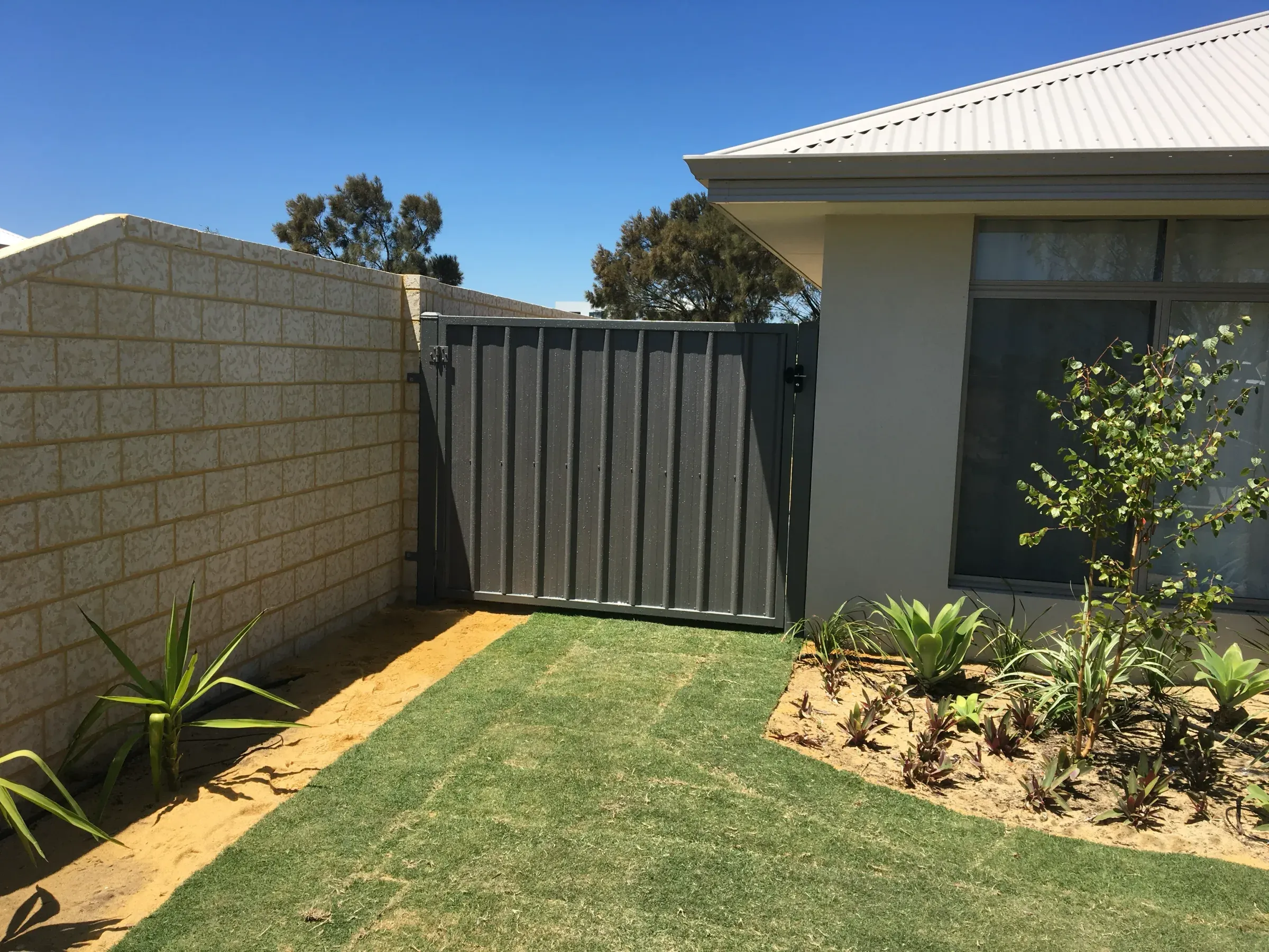 Strip of lawn beside a planted garden bed running along a Colorbond side boundary