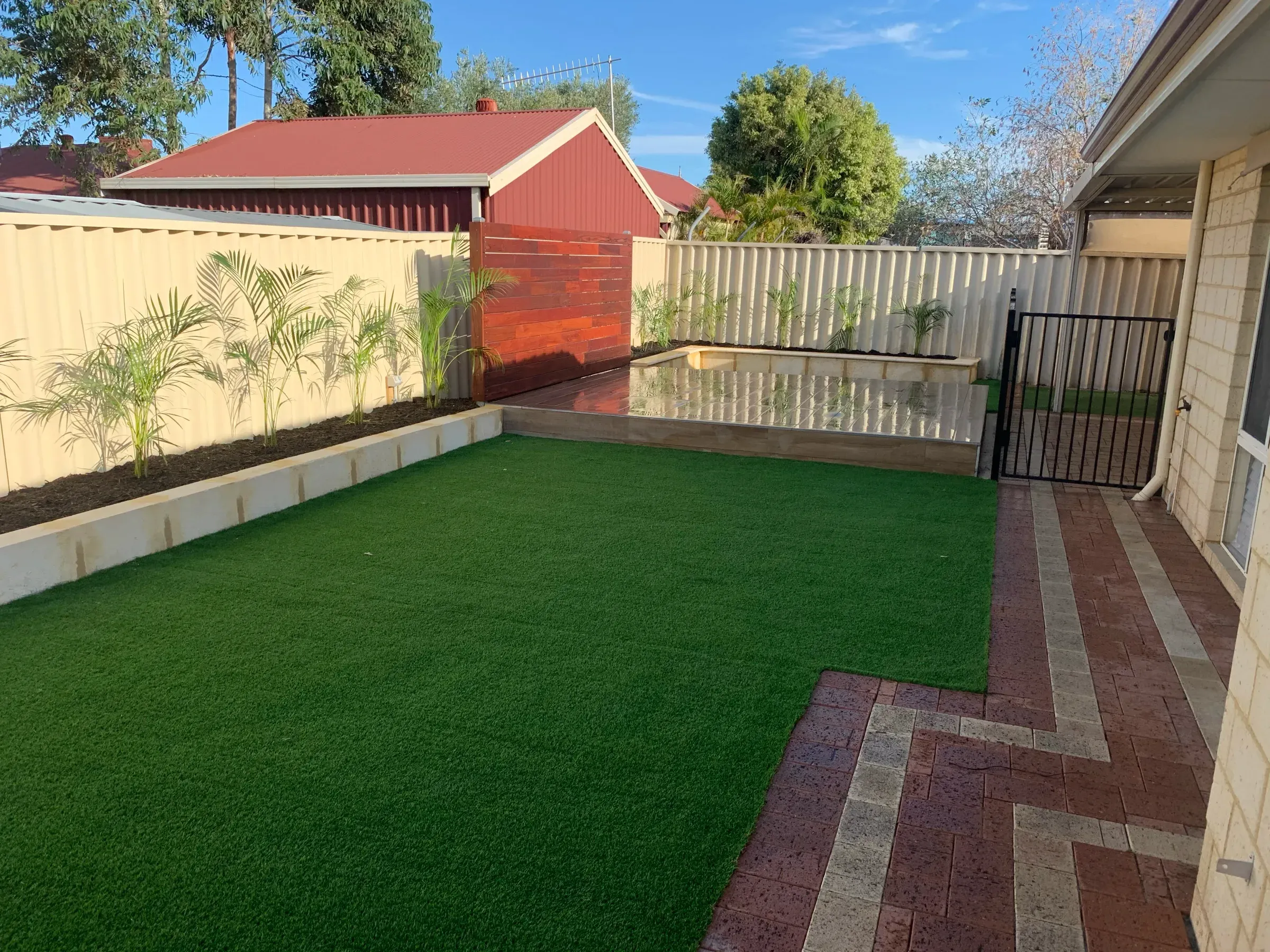 Synthetic lawn filling the same backyard, edged with limestone garden beds and young palms